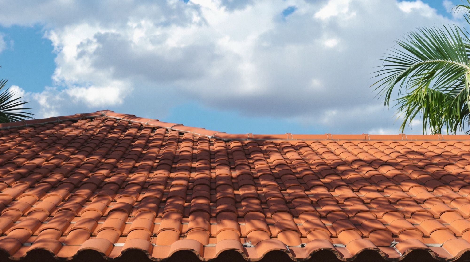 Terracotta barrel tile roof in Florida sun with palm shadows